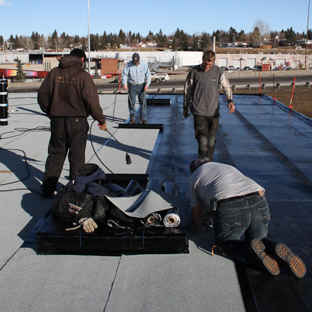 Jobs at Peddie Roofing & Waterproofing Jobs at Peddie Roofing & Waterproofing